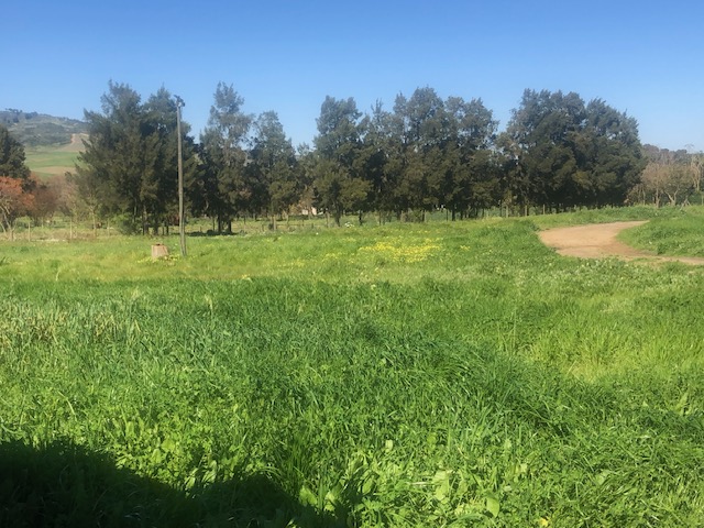 0 Bedroom Property for Sale in Botfontein Smallholdings Western Cape